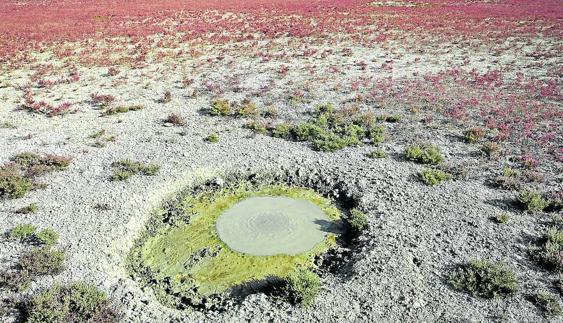 Doñana se seca