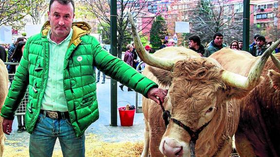 'Adarra', la más guapa del campo