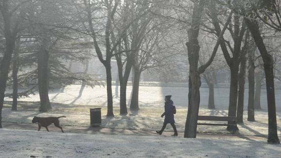 Álava cierra el año a bajo cero