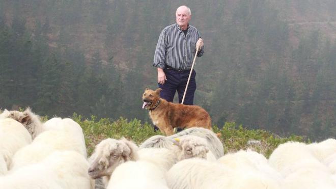 Orozko reparte el sábado diez corderos para reivindicar el oficio de pastor