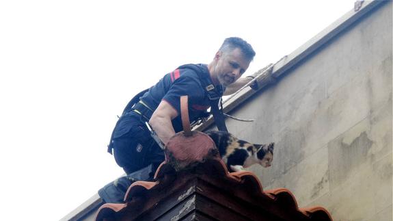 Rescatan a una gata de un tejado de Berango