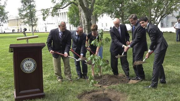 El Arbol De Gernika Echa Raices Por Medio Mundo Desde Kenia Hasta Auschwitz El Correo