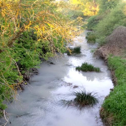 URA ha advertido cinco veces y ha abierto tres expedientes a Salvatierra por su depuradora