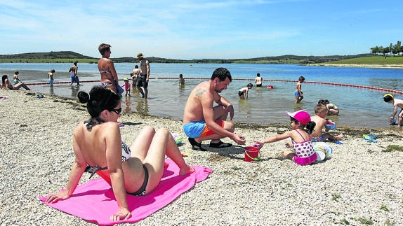 Una hamaca entre tilos