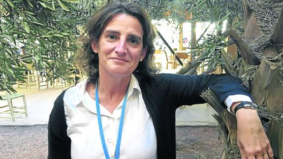 «Es inconcebible ganar dinero y un futuro empresarial sin un entorno sostenible»